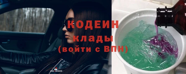 индика Балахна