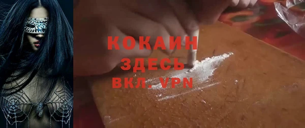 индика Балахна