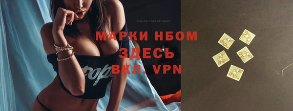 индика Балахна