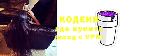 индика Балахна