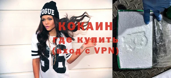 индика Балахна