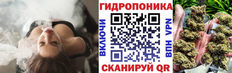 Конопля марихуана Белёв